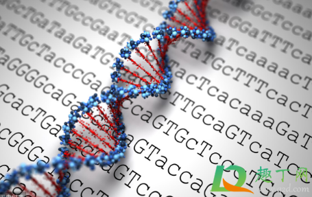 无创dna是检查费用大概多少钱(郑州无创dna是检查费用大概多少钱)