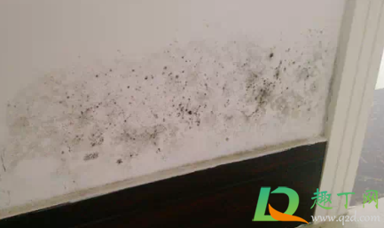 怎么能看出房子返潮还是漏水(漏水还是返潮图片)