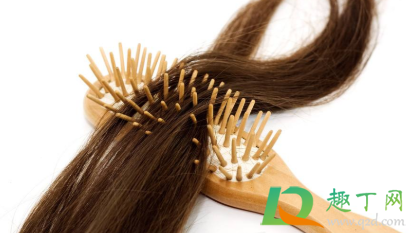 头发被扯掉了毛囊还会长吗(毛囊拽掉了还能长头发吗)