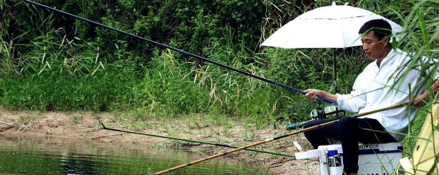 武藏湖全面禁止捕捞