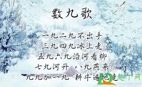 2021年最后一个九是什么时候(2021年今天是第几个九的第几天)