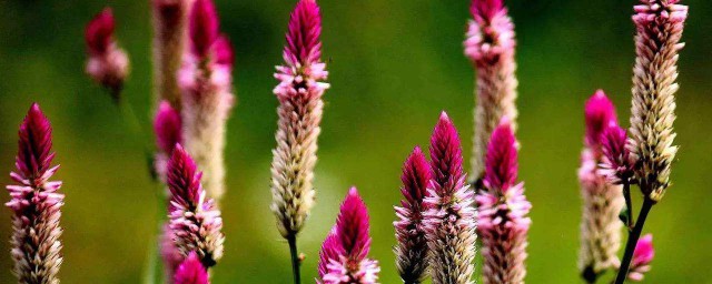 这两点你都了解吗