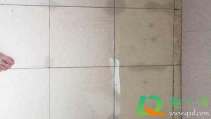 浴室地砖缝漏水怎么办好(卫生间砖缝漏水怎么办) 浴室地砖缝漏水怎么办好(卫生间砖缝漏水怎么办)