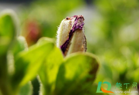 2021立春后能动土吗(立春后能不能动土)