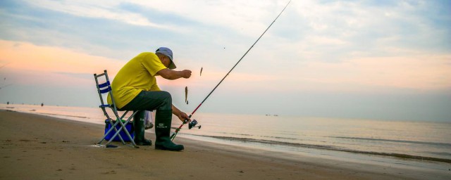 什么是血红虫(血红虫成虫)