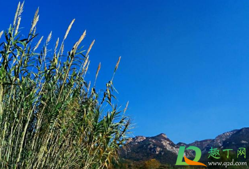 2021春节能出境游吗(2021春节能出省旅游吗)