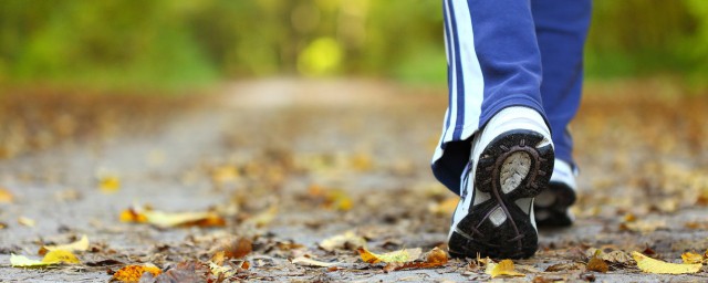 散步的心情可以这样表达(表达一个人在散步的心情)