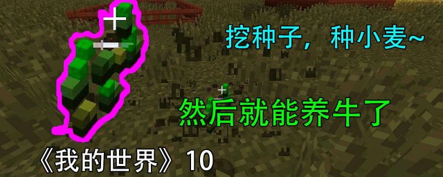 老玩家经验总结