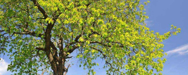 快收藏吧(快收藏起来)