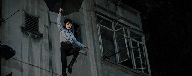 动物管理局剧情简介(动物管理局大结局是什么)