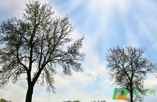 2021立春后能动土吗(立春后能不能动土) 2021立春后能动土吗(立春后能不能动土)