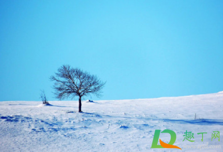 2020年11月内蒙古下雪了吗(12月份内蒙古下雪了吗)