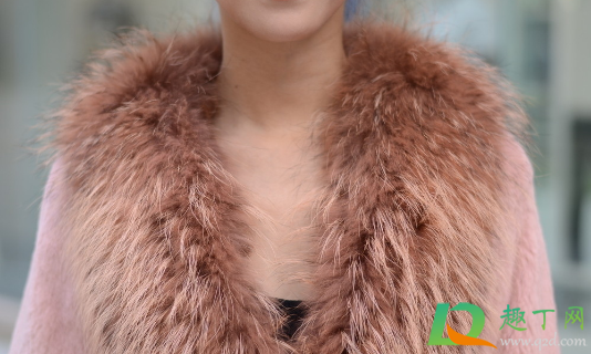 毛领怎么放不会被压坏(毛领压扁了怎么打理)