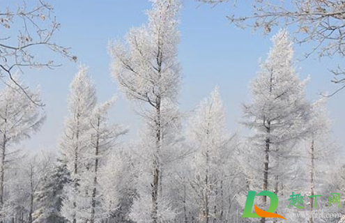 2021年哪天数九第一天(2021年那一天数九)