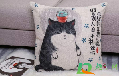 抱枕可以拆洗吗(不能拆开的抱枕怎么洗)