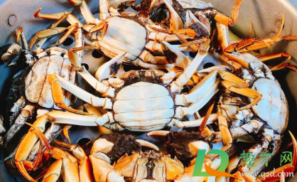 螃蟹蒸多久才能杀死寄生虫(螃蟹体内的寄生虫多久可以蒸熟)