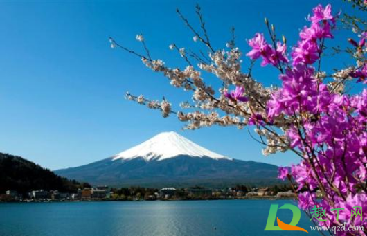 2021年春节能去日本吗(2021年春节可以去日本旅游吗) 2021年春节能去日本吗(2021年春节可以去日本旅游吗)