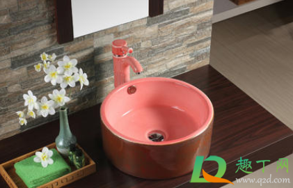 洗手台会跳的小黑虫哪里来的(洗手台有会跳的小虫子)