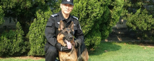 你知道吗(你知道吗澳大利亚有袋鼠梗)