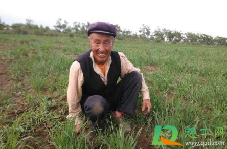 务农时用毛巾缠住脖子的原理(农民干活脖子上围毛巾) 务农时用毛巾缠住脖子的原理(农民干活脖子上围毛巾)