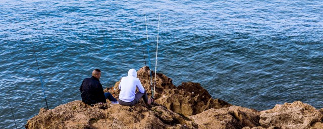 海钓入门新手教程(新手怎么海钓)