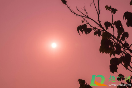 2021年1月20日日子好吗(2021年1月20日适合什么)