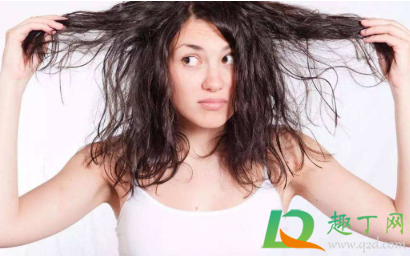 头发被扯掉了毛囊还会长吗(毛囊拽掉了还能长头发吗)