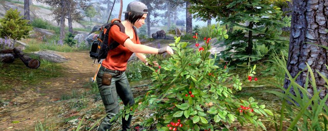 明日之后怎么获取小树枝(明日之后里面怎么获得小树枝)