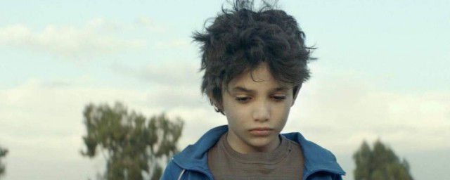 何以为家电影介绍(何以为家电影介绍,英语完形填空A)