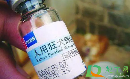 狂犬疫苗多长时间内打(狂犬疫苗多长时间内打完3针)