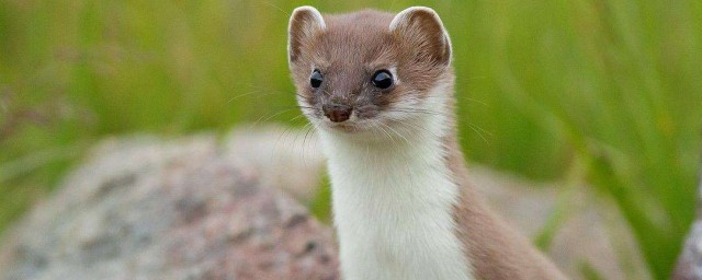 看完下面的分析见分晓(期末见分晓)