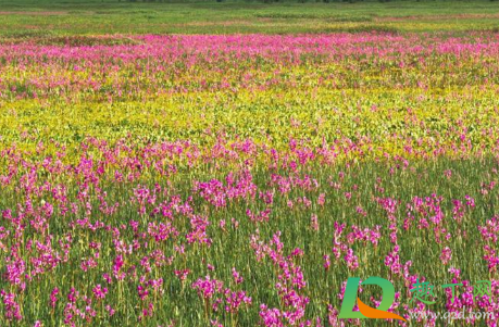 2021立春后天还冷不(什么时候立春2021年今年过年冷吗)