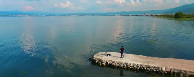 苗苑陈默幸福生活在一起