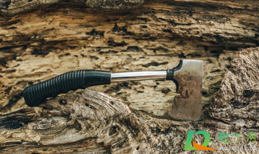 家里砍树需要选日子吗(砍树的日子有讲究吗)