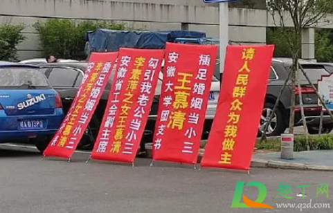 安徽大学王慕清怎么了(安徽大学王慕清和谁)