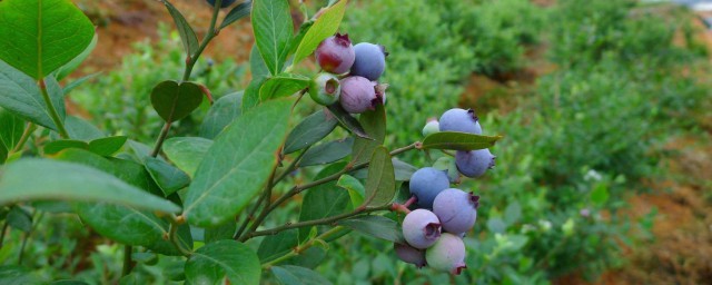 有这些方法(这几个方法)