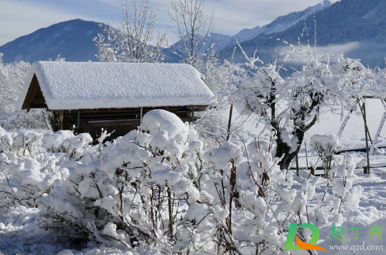 2021元旦北京下雪了吗(北京下雪了吗昨天2021) 2021元旦北京下雪了吗(北京下雪了吗昨天2021)