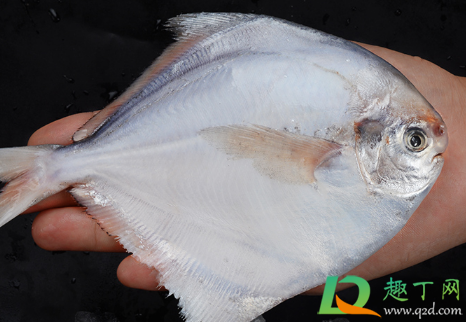 冷冻鲳鱼检出新冠是真的吗(买到假鲳鱼了)