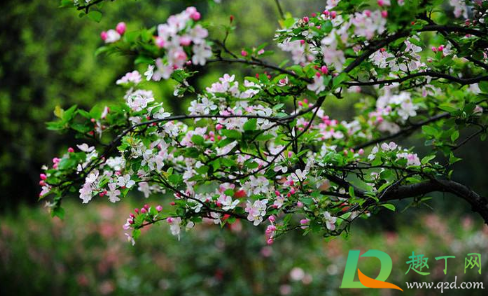 2021立春后天还冷不(什么时候立春2021年今年过年冷吗)