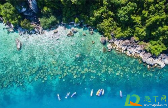 2021年春节可以去哪个国家旅游(2021年可以去哪些国家旅游)