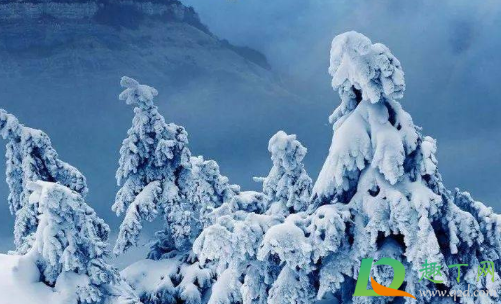 2021年哪天数九第一天(2021年那一天数九)