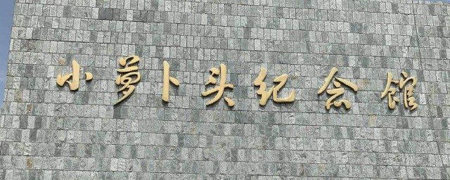 小萝卜头牺牲的时候多少岁(小萝卜头英勇牺牲的具体时间)