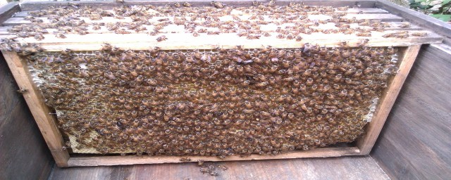 有以下几个步骤完成(只需简单几个步骤就可以完成)