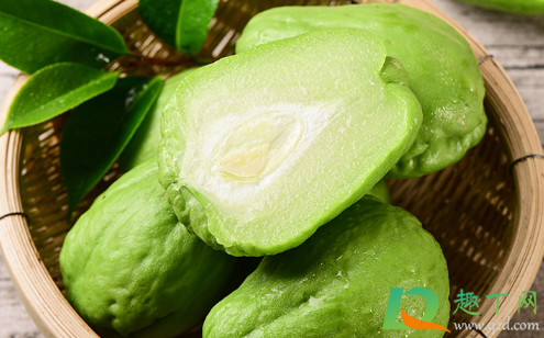 佛手瓜为什么只长藤不结果(佛手瓜在藤上发芽了) 佛手瓜为什么只长藤不结果(佛手瓜在藤上发芽了)