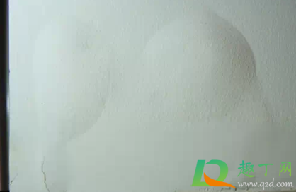 墙皮起泡怎么自己修补(墙面起泡脱皮处理妙招) 墙皮起泡怎么自己修补(墙面起泡脱皮处理妙招)