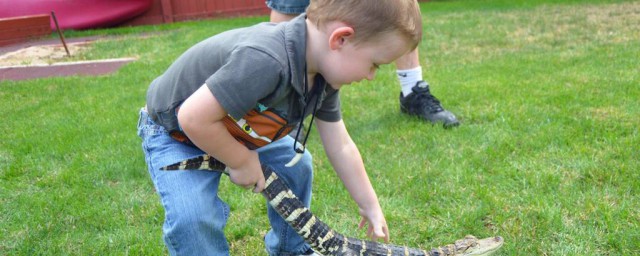 提高孩子注意力的几个小方法(小孩如何提高注意力)