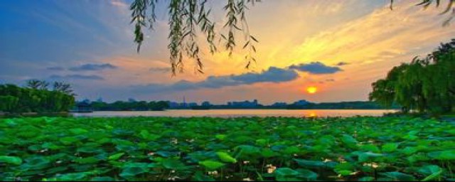 描写夏天的古诗有什么(描写夏天的古诗有什么诗配画)