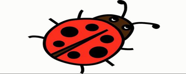 昆虫记主要内容是什么(昆虫记 的主要内容是什么)