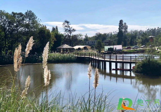 2021年元旦是农历几号(2021年是几月几日)