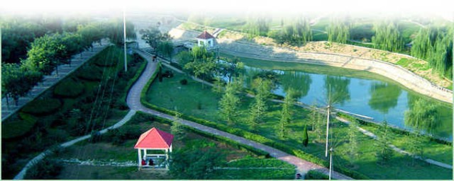 促进绿化企业发展方法(公司开展绿化工作)